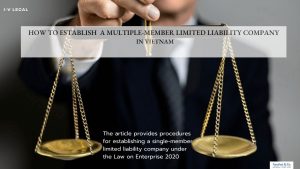 Multimember Limited Liability Company